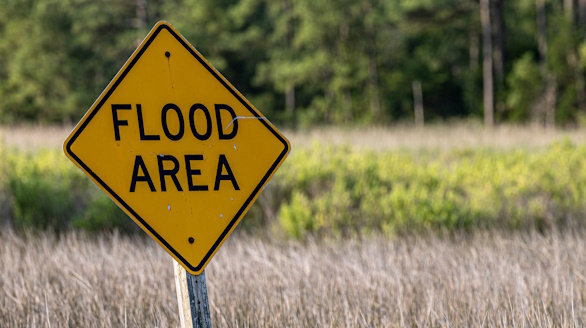 flood area
